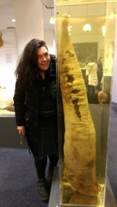 Whale Penis - Penis Museum